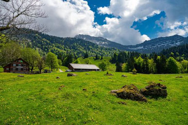 Ortsgemeinde Kaltbrunn - Alpwirtschaft Vorderwengi
