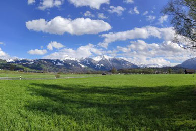 Ortsgemeinde Kaltbrunn - Rietland