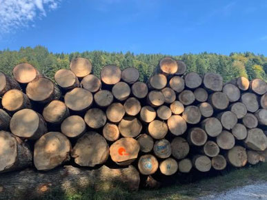 Ortgemeinde Kaltbrunn, Holzpolter in der Schänerwiti