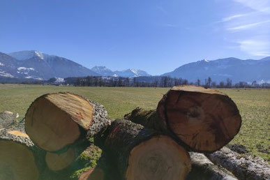 Ortsgemeinde Kaltbrunn - Rietland