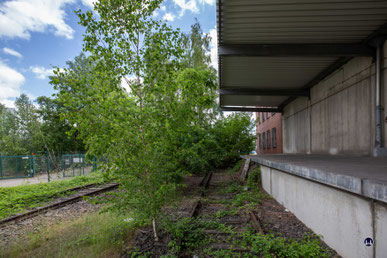 Während das Ladegleis an einem Prellbock endet, endet das zweite Gleis im Buschwerk. Ob es einst weitere Anschließer am Rande des Geländes versorgte, ist unbekannt.  