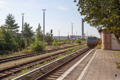 Man kann heute kaum mehr erahnen, wie wildromantisch noch bis vor wenigen Jahren eine Fahrt mit der S- Bahn vom Südkreuz nach Lichtenrade inmitten von Bäumen und wildem Pflanzenwuchs gewesen ist.