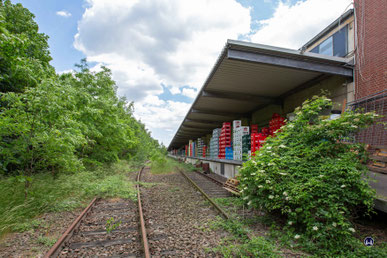 Das links zu sehende Ausziehgleis verläuft in einem Bogen auf das Ladegleis zu. zwischen beiden Gleisen gab es eine Weichenverbindung.