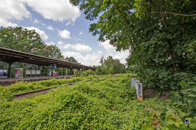 Blick vom Stellwerk in Richtung Priesterweg. Nur noch das Verbindungsgleis zur Anhalter Bahn war zum Zeitpunkt der Aufnahme auf der Fernverkehrsseite in Betrieb. Inzwischen liegen hier die neuen Gleise der Dresdner Bahn. 