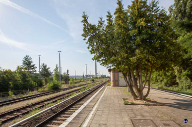 Die Anlagen des zu diesem Zeitpunkt nur noch wenig genutzten Güterbahnhof Marienfelde wiesen im mittleren Teil einen dichten Pflanzenbewuchs auf. 