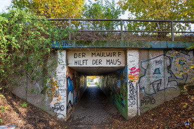 Der Tunnelweg in Blankenfelde verbindet die Erich-Klausener-Straße mit der Moselstraße. Aus Richtung Erich-Klausener-Straße kreuzt die S-Bahn in Dammlage den Tunnelweg, was die Errichtung einer Fußgängerunterführung erforderlich machte. 