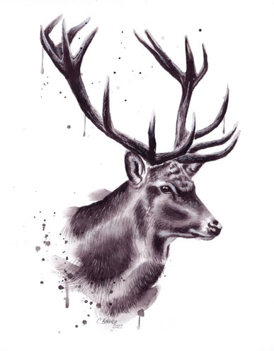 zeitloses Aquarellbild von einem Hirsch - Original Kunstwerk