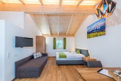 Apartment Blume - Frechhof - Schladming