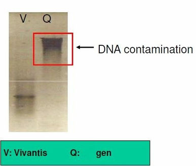 Aufreinigung von RNA aus Blut, RNA isolation from blood