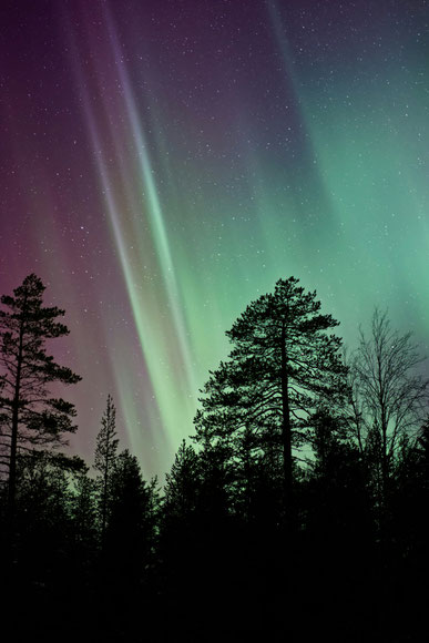 Nordlichtbeobachtung direkt vor dem Ferienhaus in Ranua, Lappland – Aurora Borealis über verschneiter Landschaft - no filter