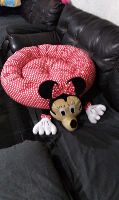 CAMA FANTASIA  MIMI  , CONFECCIONADA EN TELA VELBOA , RELLENA DE DELCRON SILICONIZADO DE 65 CM. DE DIAMETRO SIN CONTAR LAS PATAS NI LA CABEZA (talla unica)