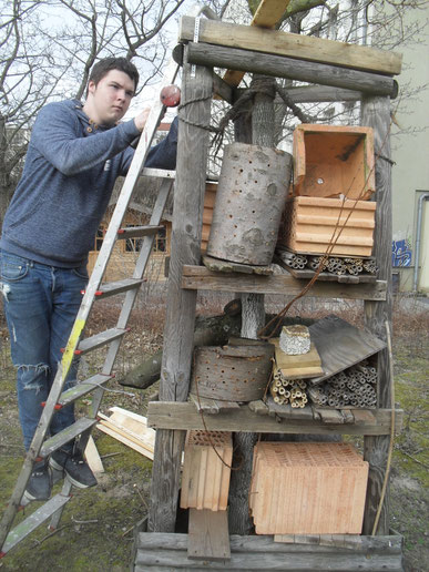 Für die Nisthilfen wir ein überdachter Unterstand gebaut.
