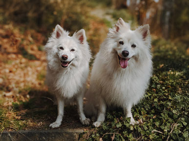 Großspitz