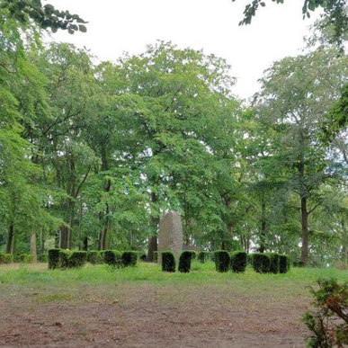 Friedensberg in Sellin