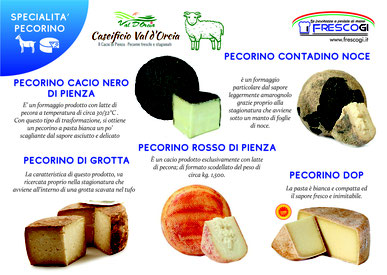 FrescoGi srls Bolzano_specialista nel fresco_caseari e formaggi