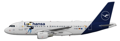 Aircraft Type: Airbus A319-100