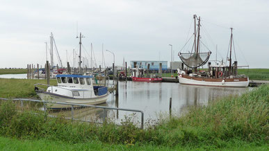 Spieka-Neufeld -Noch ein echter Kutterhafen. Romantisch und sehr ruhig gelegen.