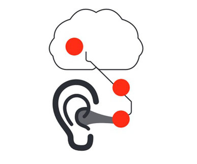 Acouphène : de l'oreille au cerveau