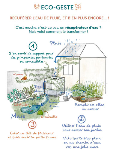 Comment mieux arroser son jardin : récupérer l'eau de pluie