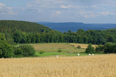 Blick über die Landschaft in Goldbeck. - Foto: Kathy Büscher