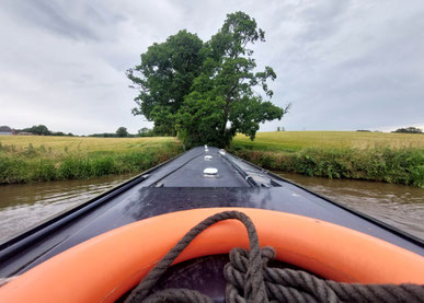 Schnauze an einem Ufer, Popo am anderen Ufer in der Botanik - sieht doch so aus, als ist das breit genug zum Wenden?