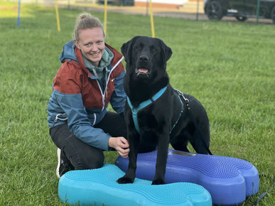Junghundekurs, Hundetraining, Hundeschule, Butzbach, World of Dogs