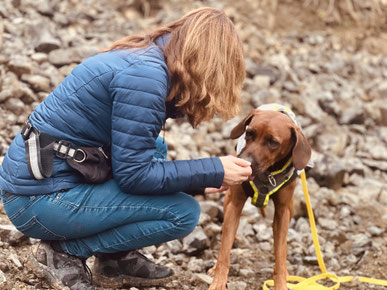 Junghundekurs, Hundetraining, Hundeschule, Butzbach, World of Dogs