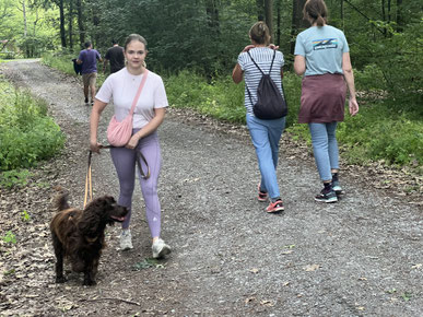 Junghundekurs, Hundetraining, Hundeschule, Butzbach, World of Dogs