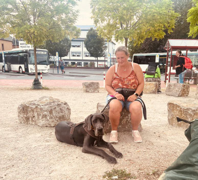 Junghundekurs, Hundetraining, Hundeschule, Butzbach, World of Dogs