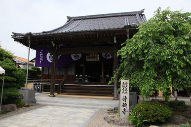 京都市福知山市 浄願寺。わたしが育った田舎の小さなお寺です。紫の幕は行事の時だけ張ります。先の割れた竹竿を使って、本堂の大屋根の金具に紐を引っ掛けて張る、かなりの力仕事です。