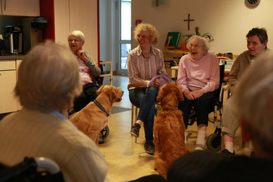 Ginger, Enya & M. Geppert 