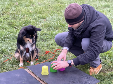 Junghundekurs, Hundetraining, Hundeschule, Butzbach, World of Dogs