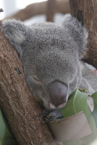 今月の一枚 Woodist Online 今月の一枚 Woodist Online