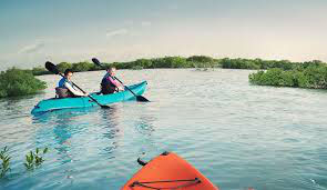 Kayak Tour Abu Dhabi - Abu Dhabi WavesClub