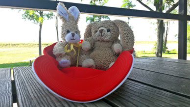 Rechts Sir Felix - links Frederick, Co-Trainer