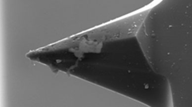 The probe tip of the AFM  (atomic force microscope)