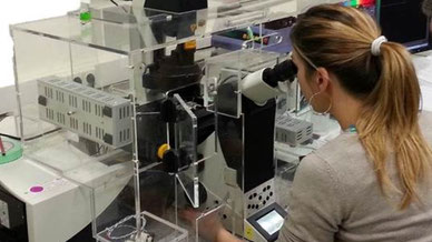 The confocal microscope equipped with the environmental chamber