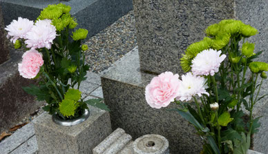 緑の菊?などで落ち着いた感じ*
