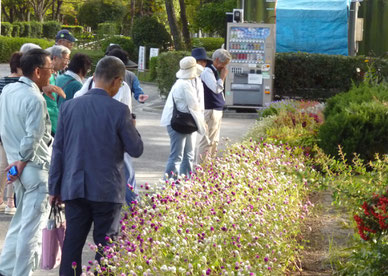 花壇をなごやかに見学・・