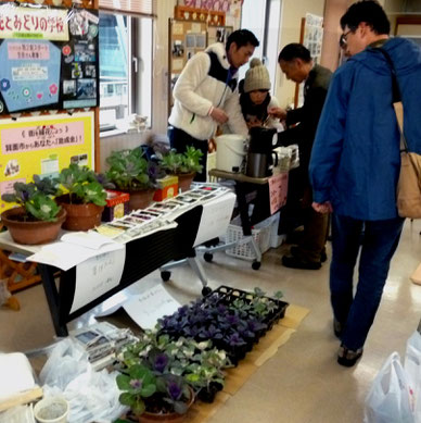 暮れの餅つきイベントでの葉ぼたんの「募金付き配布」風景