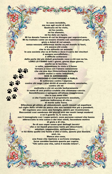 pets sweet home