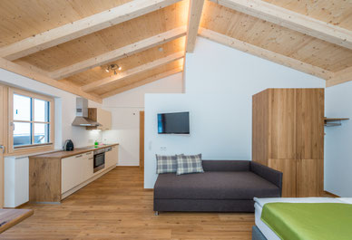 Apartment Blume - Frechhof - Schladming