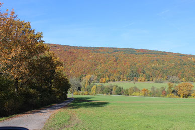 Besonderst der Herbst ist in Bad Bocklet wunderschön!