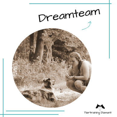 Hundetraining by Tiertraining Diamant, Hundeschule, Hundetraining, Salzburg, hundeschule mit individueller betreuung, Welpentraining, Clickern, Social Walk, Urlaub mit Hund, Junghundekurs, modernes Training Hund, welpenkurs, junghundetraining, erziehung
