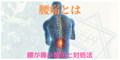 腰痛 腰 痛み 治療
