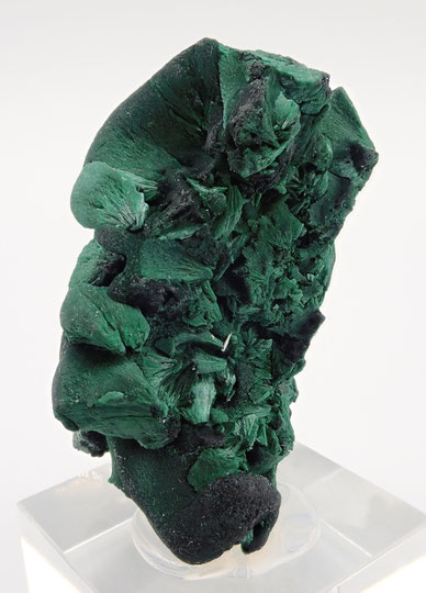 Botroidal Malachite