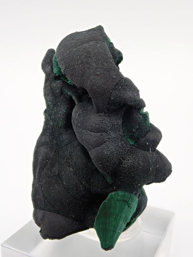 Botroidal Malachite