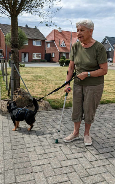 Oskar macht nun sein Frauchen in Hasbergen glücklich.