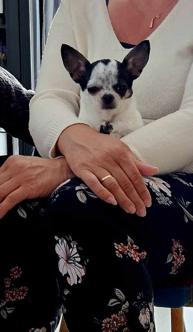 Die kleine Ayleen wurde direkt im Tierheim von ihrer neuen Familie abgeholt und lebt nun wohlbehütet in Ampfing.