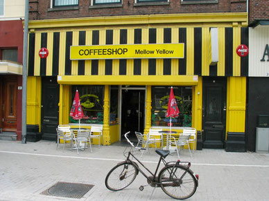 Coffee Shop Mellow Yellow